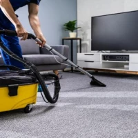 Carpet and Upholstery Cleaning 0